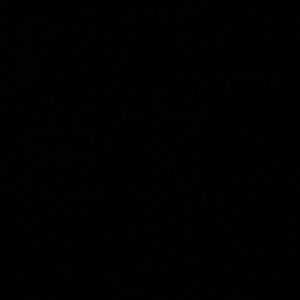 Meet your Posher, Shaun